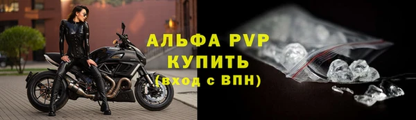спиды Аркадак