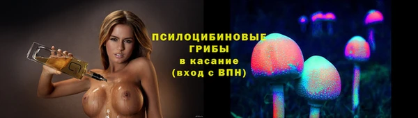 спиды Аркадак