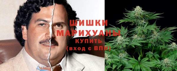 спиды Аркадак