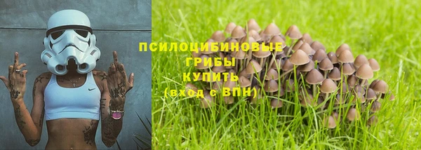 герыч Арсеньев