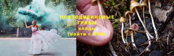 герыч Арсеньев